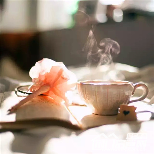 一杯热茶