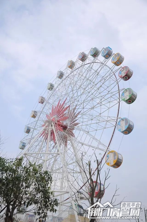 4_.jpg