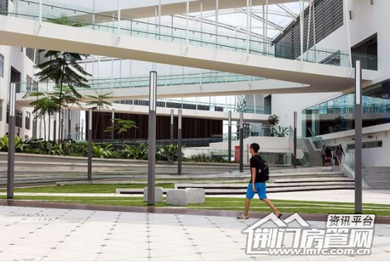 碧桂园留学