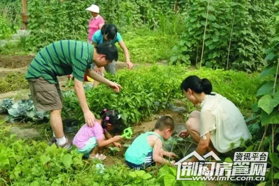 荆门天地