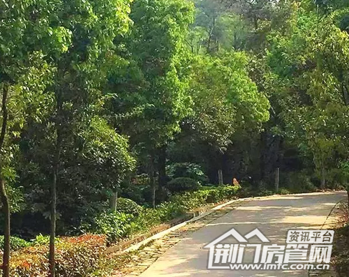 荆门买房