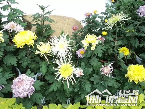 荆门买房