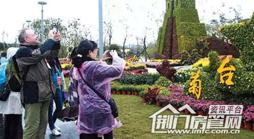 荆门菊花展
