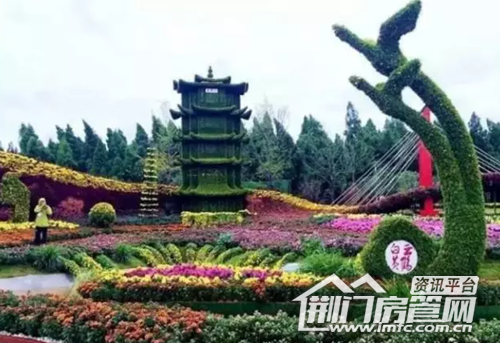 荆门菊花展