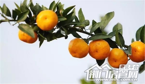 荆门