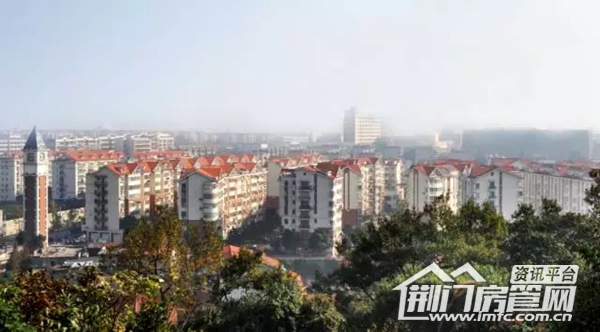 荆门葡萄园