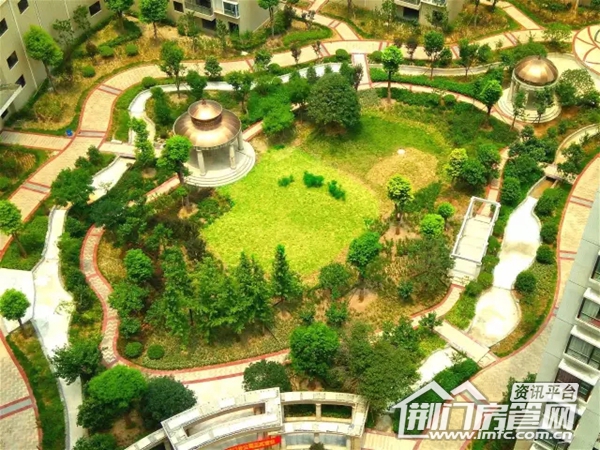 荆门葡萄园