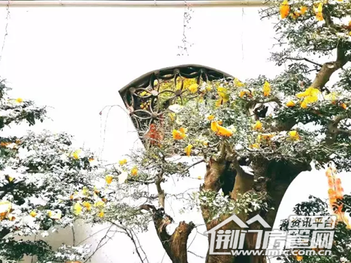 荆门下雪