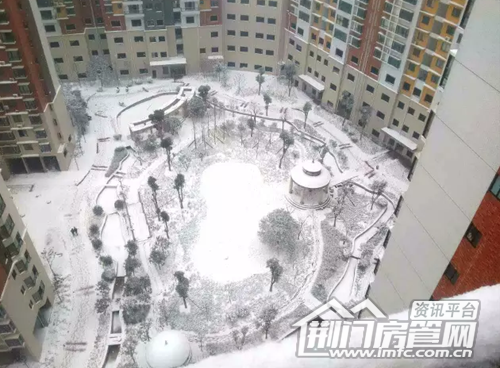 荆门葡萄园