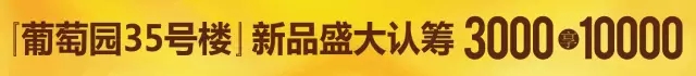 41.webp.jpg
