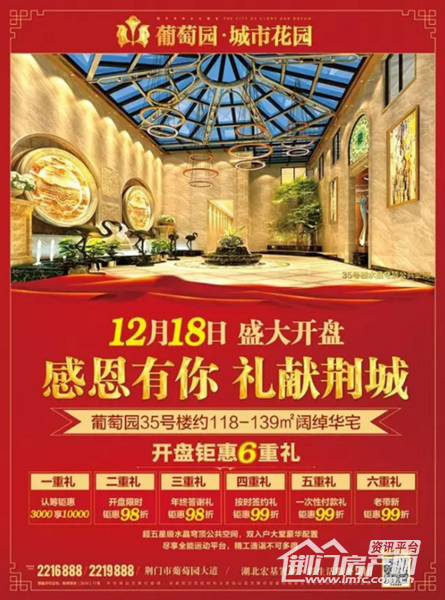 葡萄园35号新品