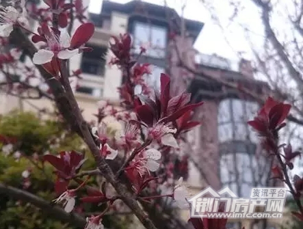 中建·荆南熙园