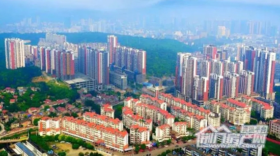 葡萄园