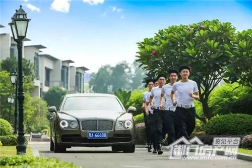 碧桂园物业