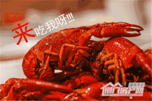 碧桂园.jpg