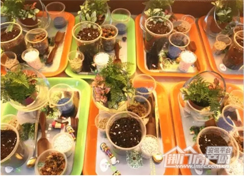 微景观DIY.jpg