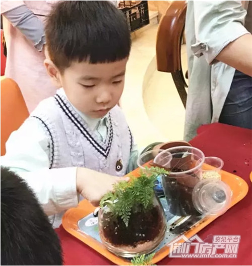 微景观DIY.jpg
