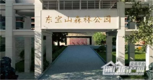 东宝山森林公园.jpg