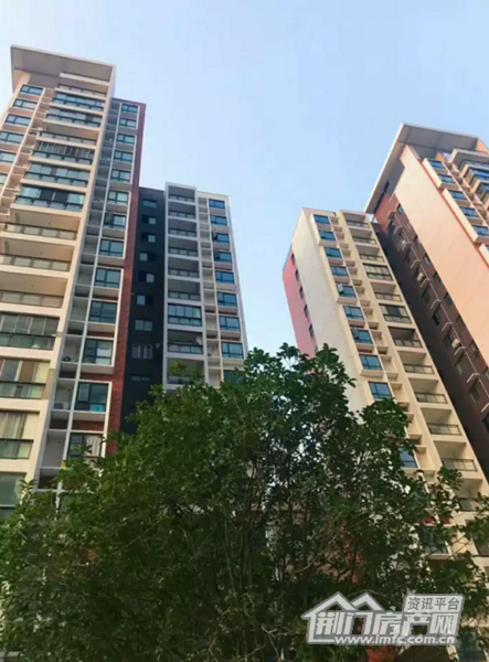 葡萄园实景图.png