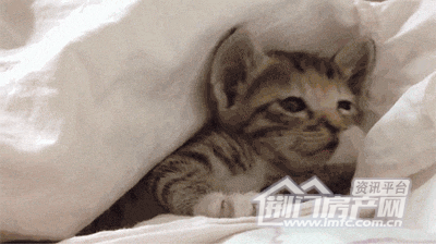 荆门碧桂园“暖冬行动”.png
