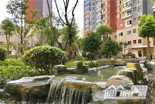 葡萄园实景